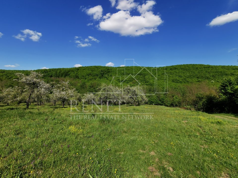 Teren de Vânzare, Budeasa Mica – Potrivit pentru Casă de Vacanță sau Investiție