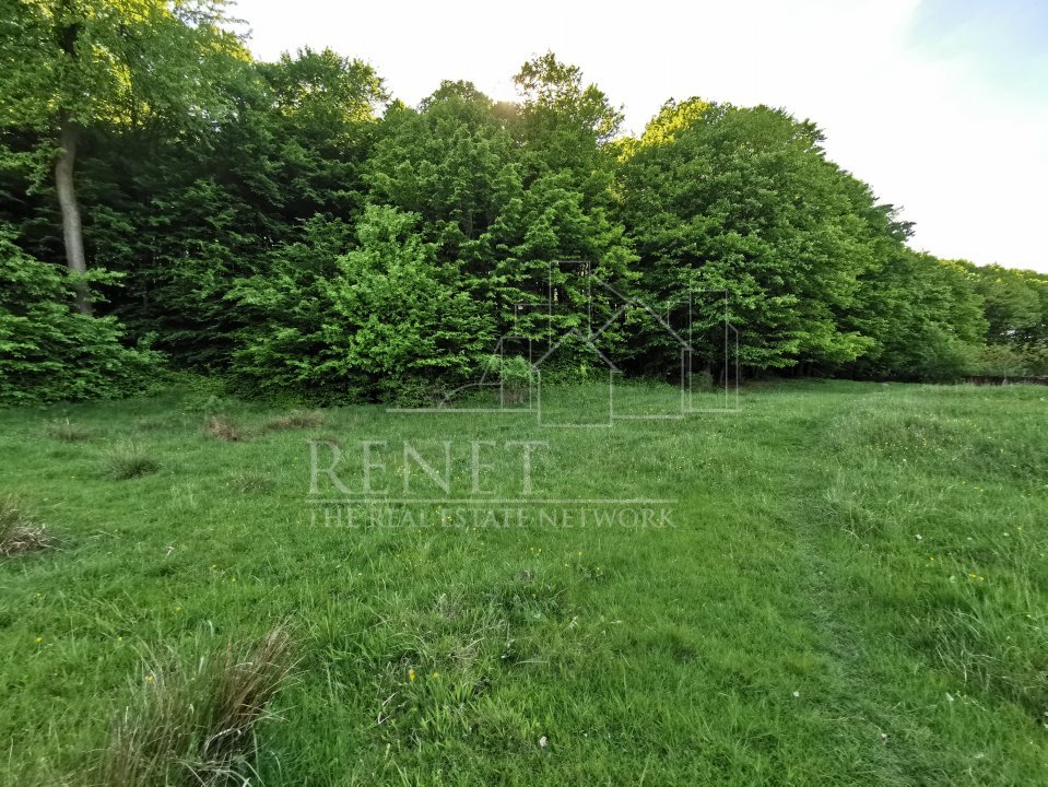 Oportunitate de Investiție - Teren de Basm in Bascov. DIRECT PROPRIETAR.