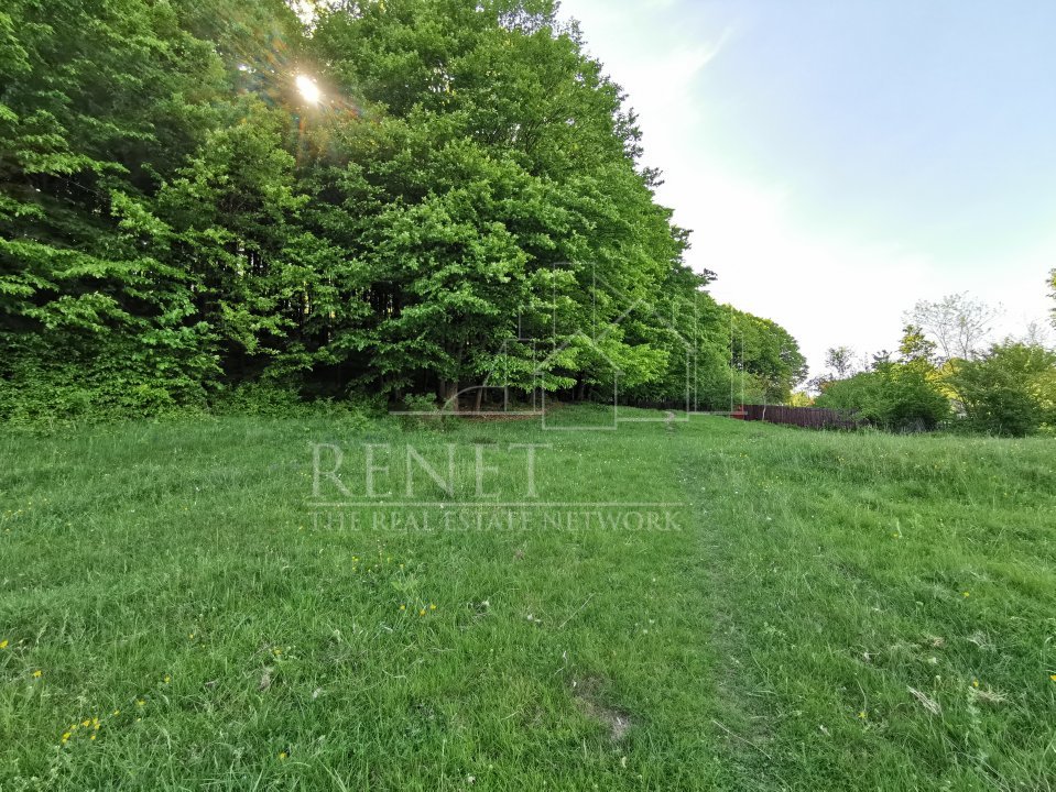 Oportunitate de Investiție - Teren de Basm in Bascov. DIRECT PROPRIETAR.