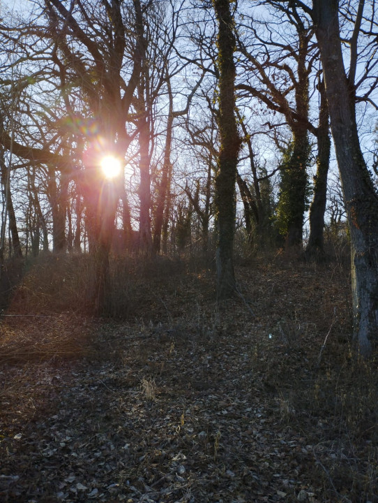 SUPER OCAZIE SE VINDE TEREN DE IN SNAGOV CU DESCHIDERE LA LACUL SNAGOV