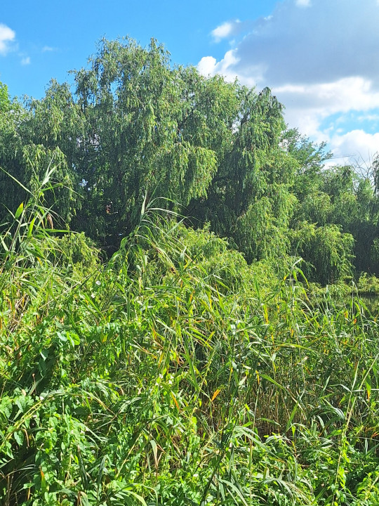 MEGA OCAZIE SE VINDE TEREN CU DESCHIDERE LA LACUL FUNDENI