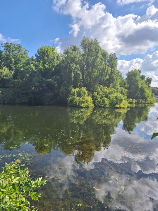 MEGA OCAZIE SE VINDE TEREN CU DESCHIDERE LA LACUL FUNDENI