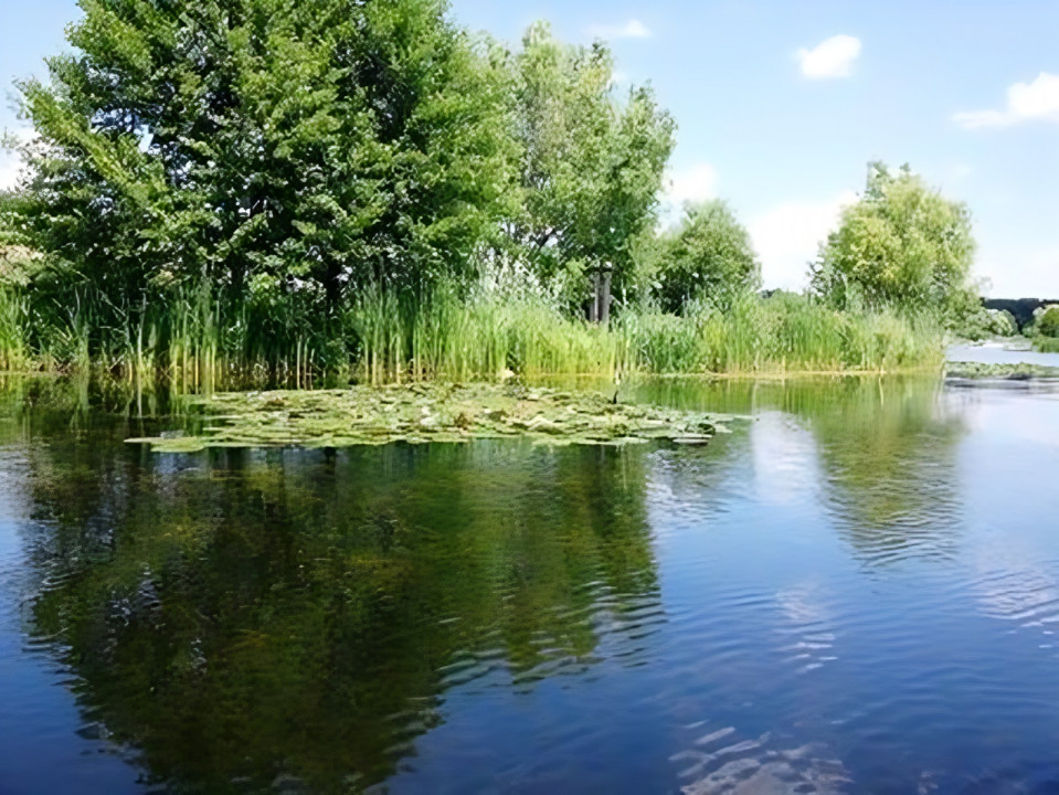 TEREN 1500 MP CU DESCHIDERE LA PADURE SI LAC IMPREJMUIT CU GARD IN ZONA SNAGOV