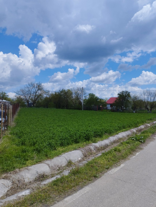 SUPER OCAZIE SE VINDE TEREN LA CEL MAI MIC PRET LA DELTA NEASLOVULUI BUDENI GR