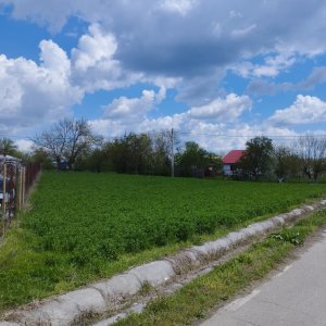 SUPER OCAZIE SE VINDE TEREN LA CEL MAI MIC PRET LA DELTA NEASLOVULUI BUDENI GR