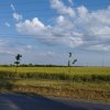 SE VINDE TEREN 5000 MP INTRAVILAN, MIXT IN ZONA BALOTESTI SPRE AUTOSTRADA A3  