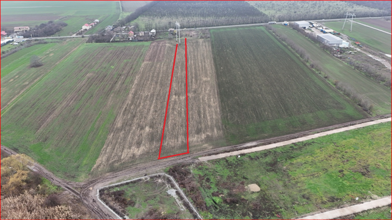 FRUMUSANI-ORASTI, LOT 7630 MP!