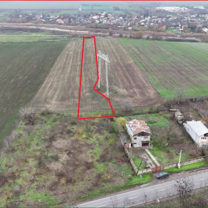 FRUMUSANI-ORASTI, LOT 7630 MP!