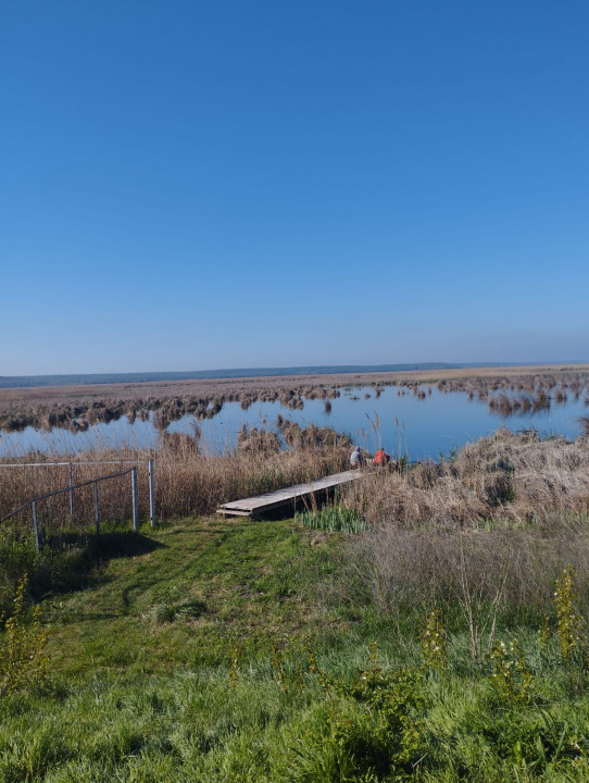 VAND TEREN INTRAVILAN 4000MP DESCHIDERE LA DELTA NEAJLOVULUI  IN ZONA BUDENI