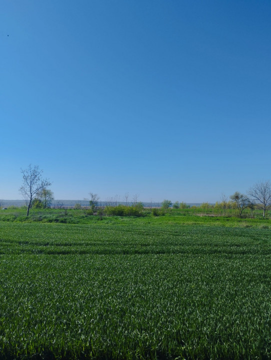 VAND TEREN INTRAVILAN 4000MP DESCHIDERE LA DELTA NEAJLOVULUI  IN ZONA BUDENI