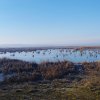 VAND TEREN INTRAVILAN 4000MP DESCHIDERE LA DELTA NEAJLOVULUI  IN ZONA BUDENI