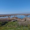 VAND TEREN INTRAVILAN 4000MP DESCHIDERE LA DELTA NEAJLOVULUI  IN ZONA BUDENI