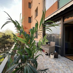 Inchiriere garsoniera – Terra Residence. Terasa si gradina. 