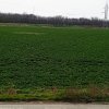 Teren intravilan 5.000 m² cu 40 m deschidere la DN2A – lângă Kaufland Slobozia