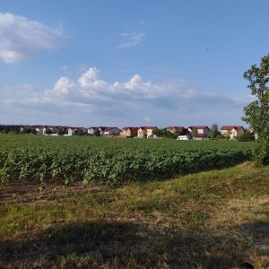 SE VINDE TEREN 5000 MP INTRAVILAN, MIXT CU DESCHIDERE LA DJ101 DE 42m 