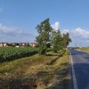 SE VINDE TEREN 5000 MP INTRAVILAN, MIXT CU DESCHIDERE LA DJ101 DE 42m 