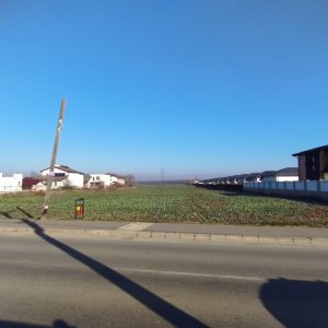   VAND TEREN INTRAVILAN 38.000MP IN ZONA SAFTICA-BALOTESTI LA CEL MAI MIC PRET