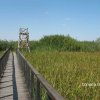 Vând loturi de 527 si 635 mp lângă Delta Neajlovului la cel mai bun preț 