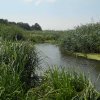 Vând loturi de 527 si 635 mp lângă Delta Neajlovului la cel mai bun preț 