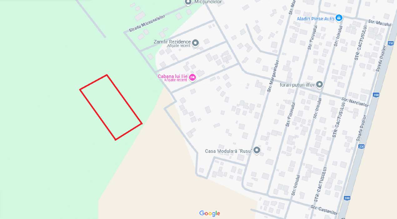 DASCALU, LOT 19.170 MP!