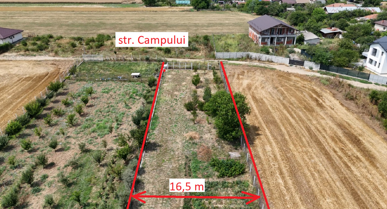 CIOLPANI Lot 5.000 MP