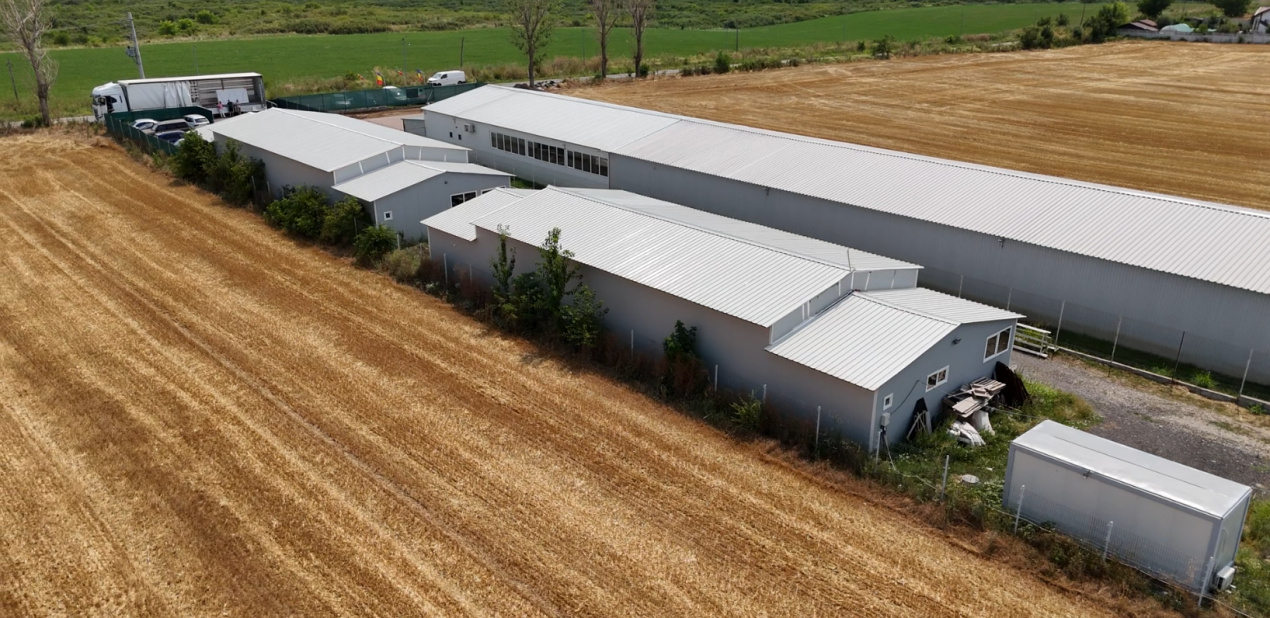 CIOLPANI Lot 5.000 MP