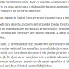 Raritate absolută: Teren 20.000 mp în inima Padurii Băneasa