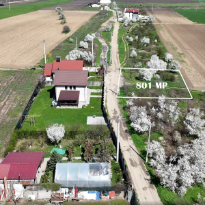 Tartasesti, lot 801 mp!