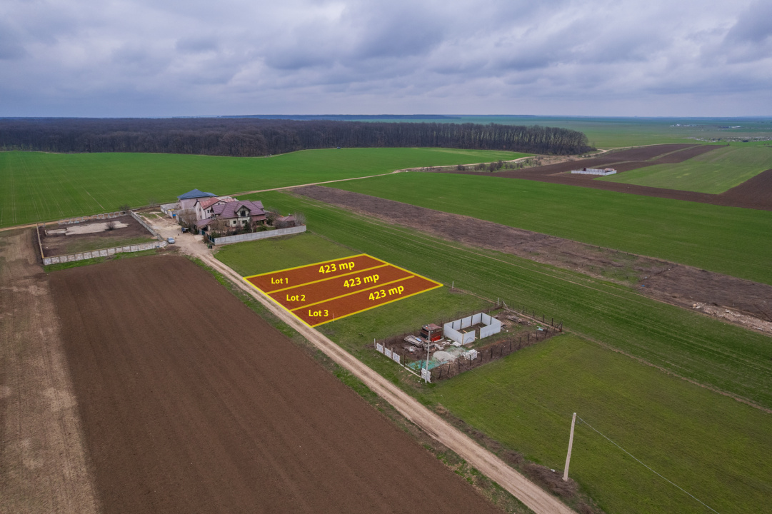 FRUMUSANI - VIOLETELOR, TEREN 423 MP, FRONT 14 M!