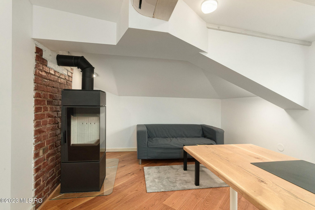 COTROCENI-GRADINA BOTANICA STUDIO LA CHEIE, 33 MP!